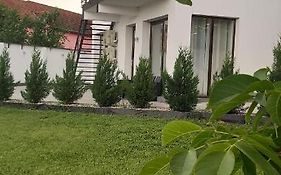 Accent Garden